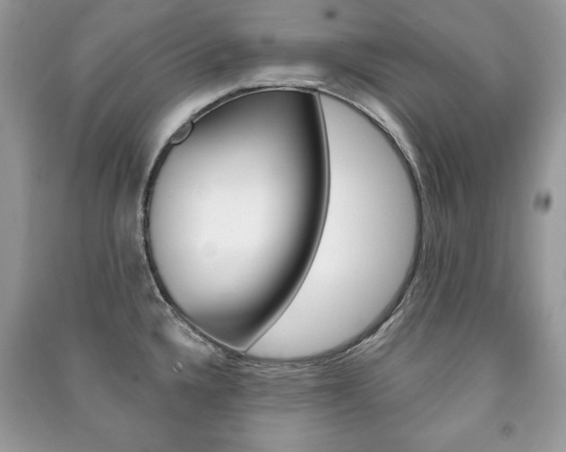 X0000091171336200708091015