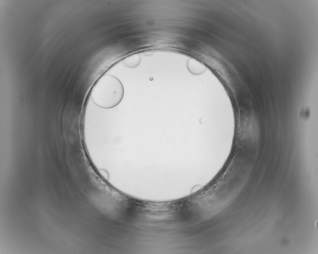 X0000091171338200708091015