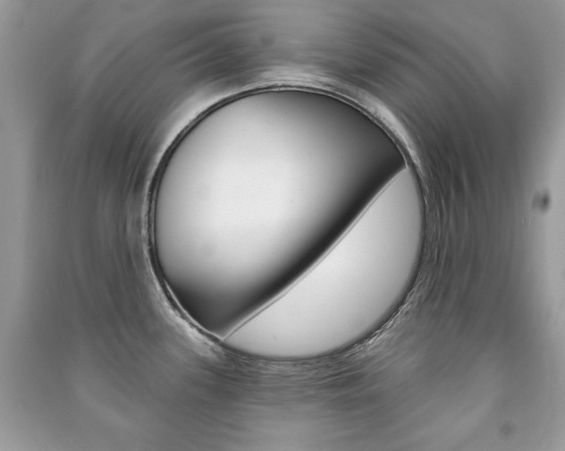 X0000091171339200708091015