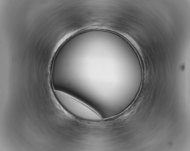 X0000091171341200708091015