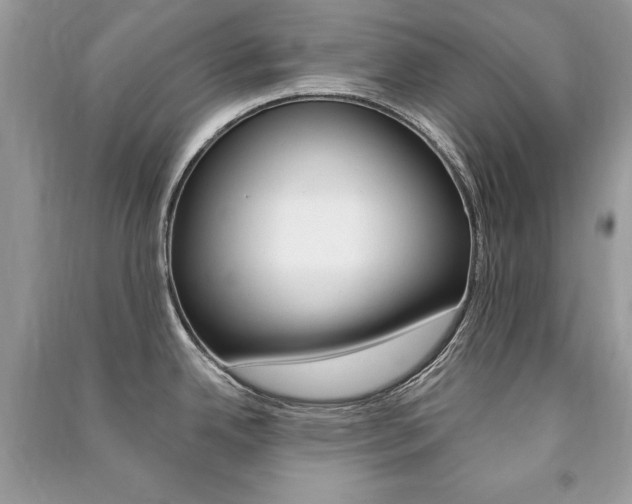 X0000091171342200708091015