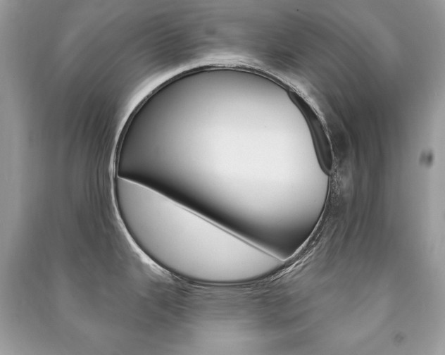 X0000091171343200708091016