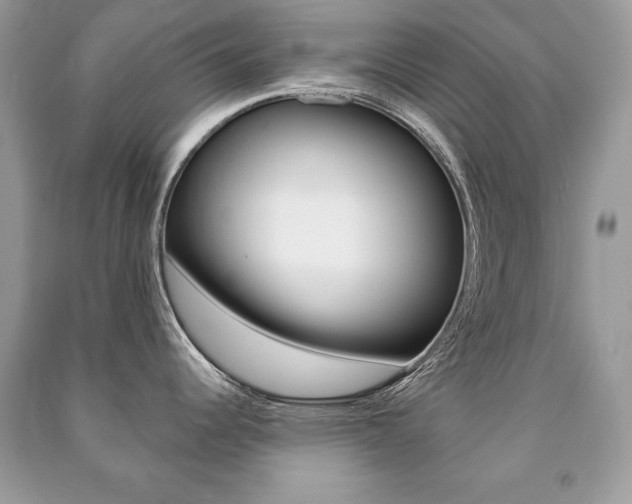 X0000091171344200708091016