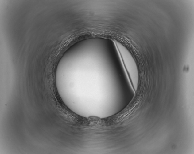 X0000091171345200708091015