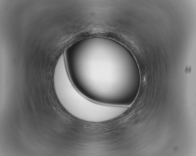 X0000091171348200708091015