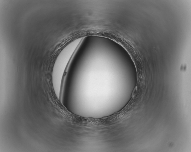 X0000091171349200708091015
