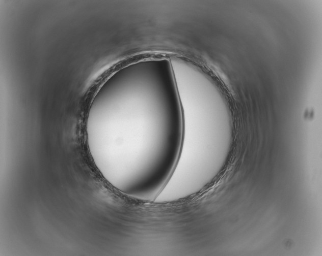 X0000091171352200708091015