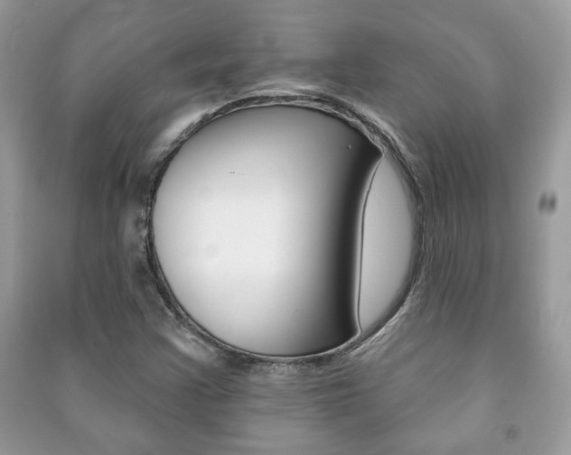 X0000091171355200708091015