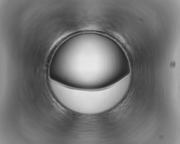 X0000091171356200708091015