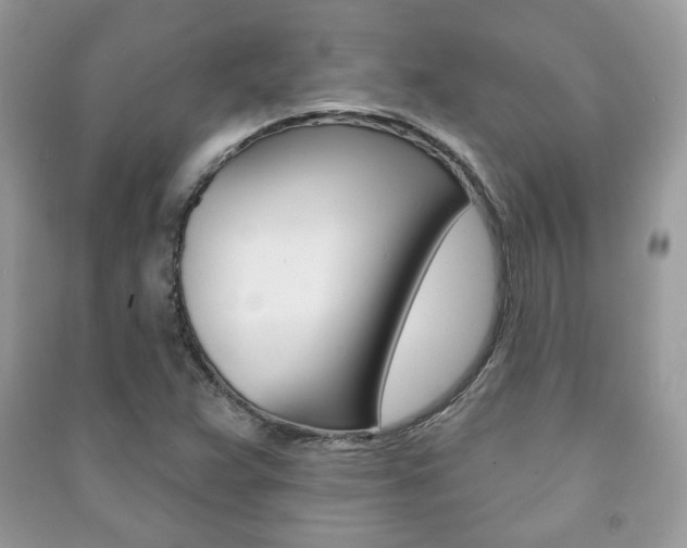 X0000091171359200708091015