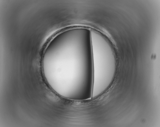 X0000091171360200708091015