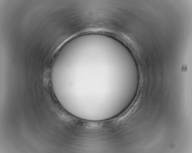 X0000091171361200708091015