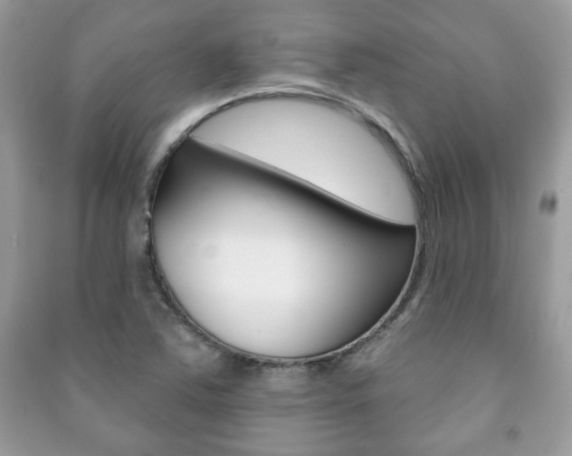 X0000091171363200708091015