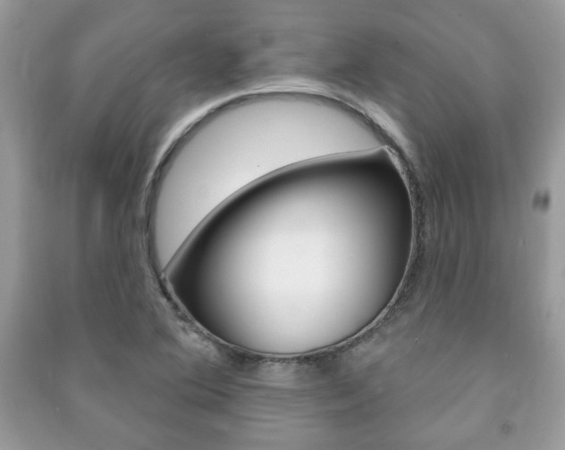 X0000091171364200708091015