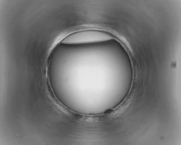 X0000091171365200708091015