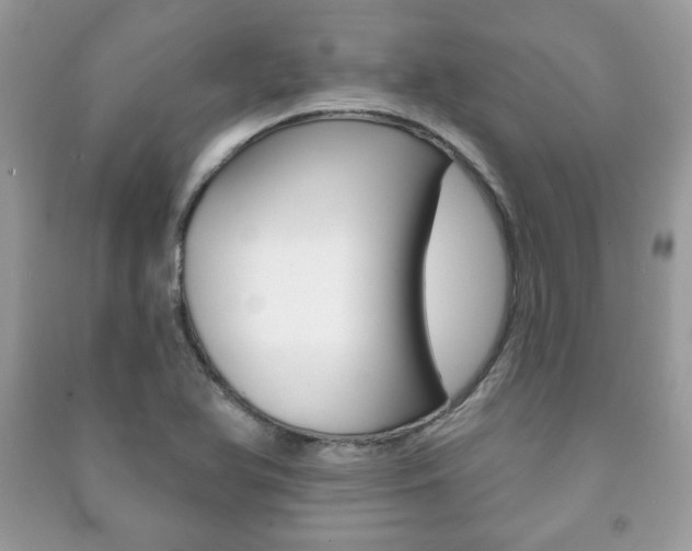 X0000091171366200708091014