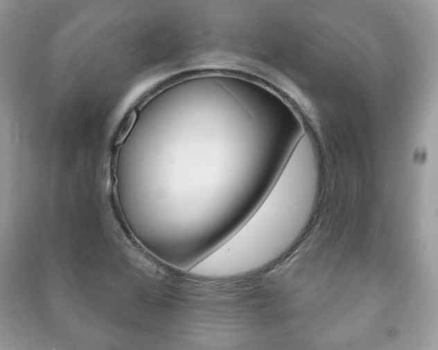 X0000091171368200708091014
