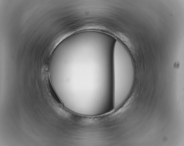 X0000091171369200708091014
