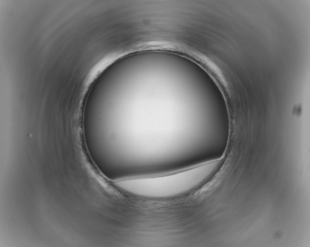 X0000091171373200708091014