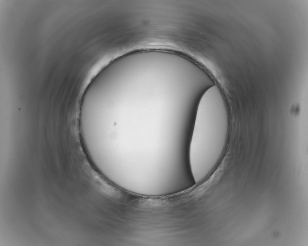 X0000091171374200708091014