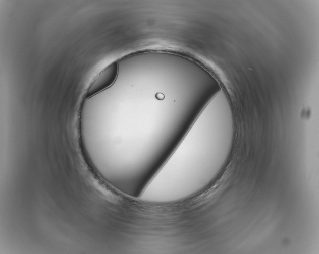 X0000091171375200708091014