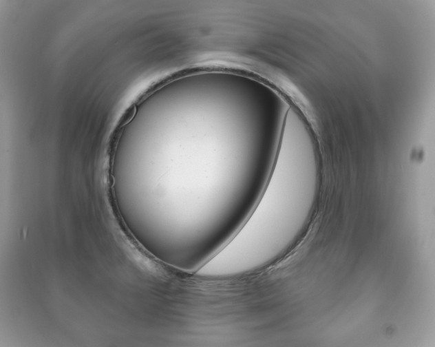 X0000091171376200708091014