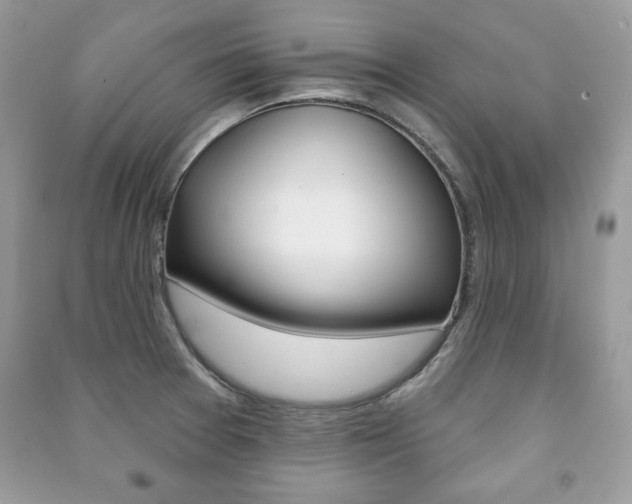 X0000091171377200708091014