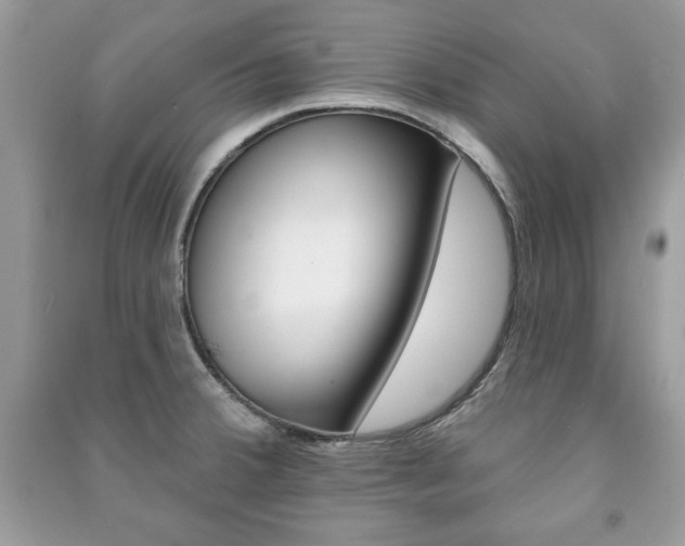 X0000091171380200708091014