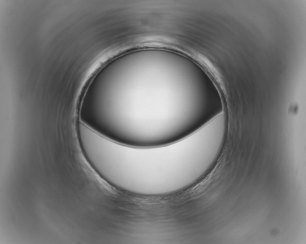 X0000091171384200708091014