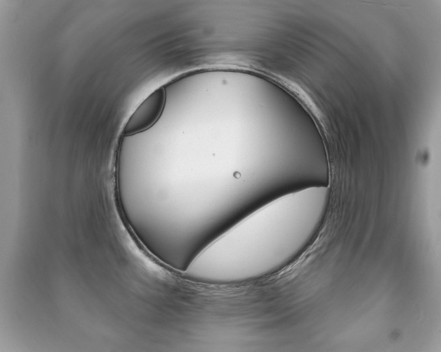 X0000091171387200708091014
