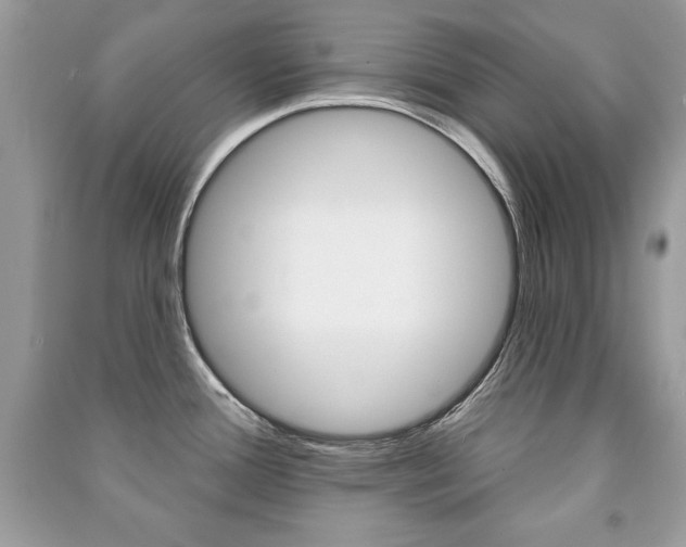 X0000091171388200708091014