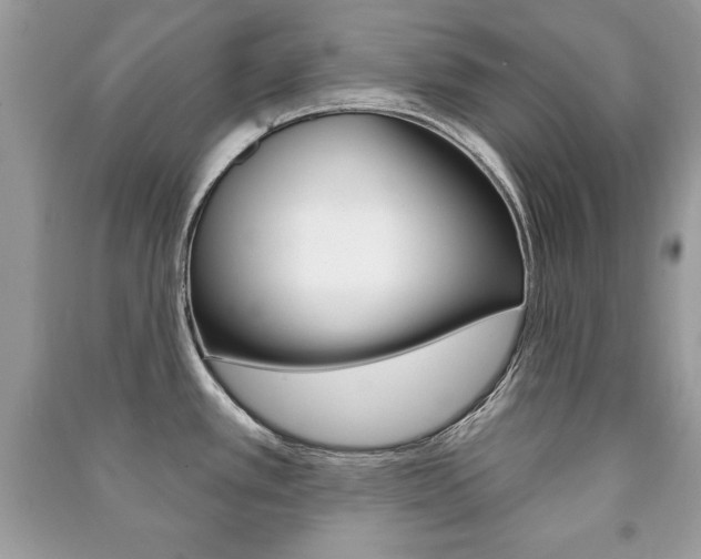 X0000091171389200708091014
