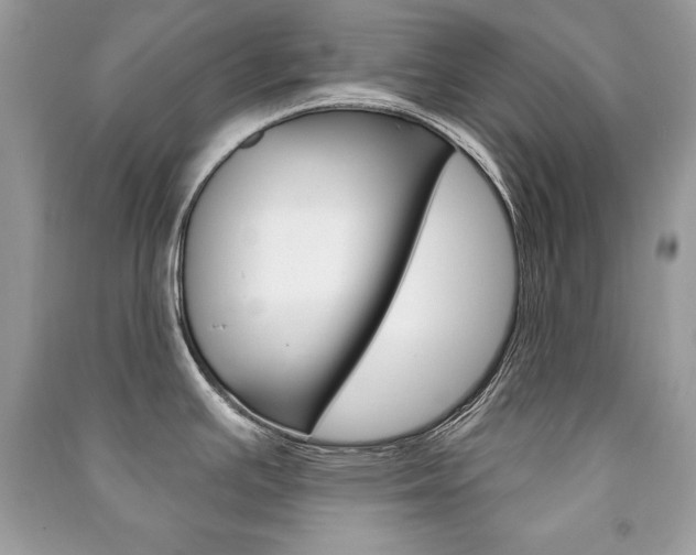 X0000091171391200708091014