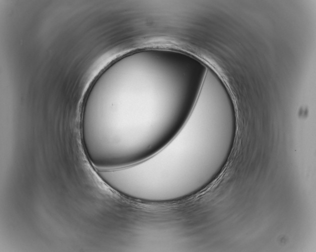 X0000091171392200708091014