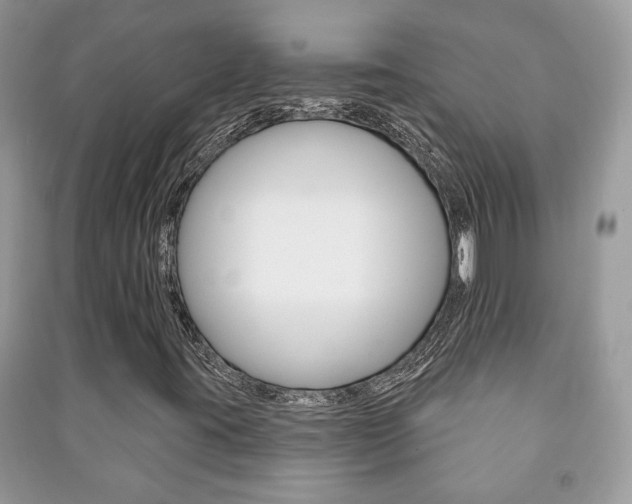 X0000091171395200708091014