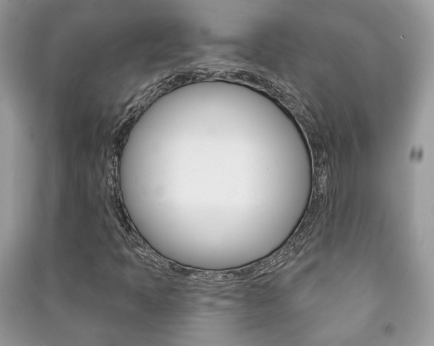 X0000091171397200708091014