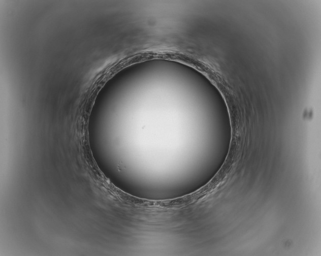 X0000091171398200708091014