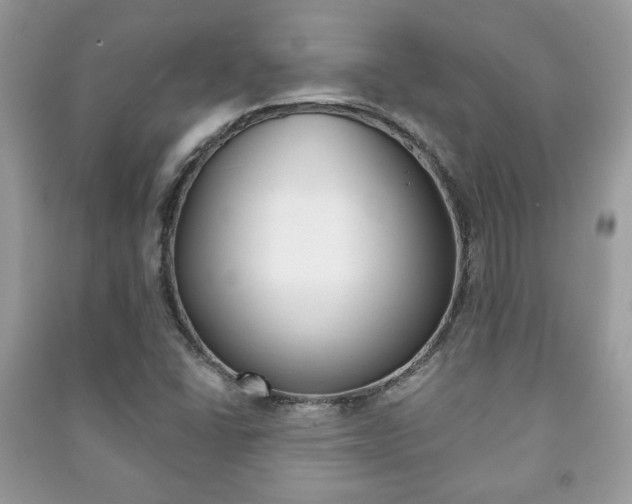 X0000091171406200708091014