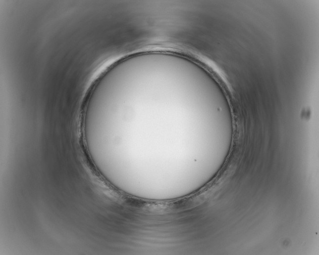 X0000091171415200708091014