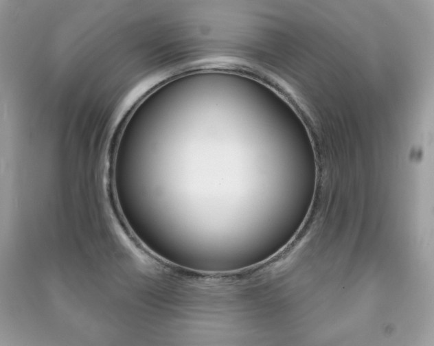 X0000091171418200708091014