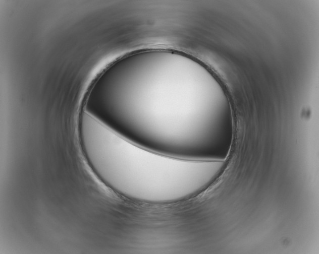 X0000091171424200708091014
