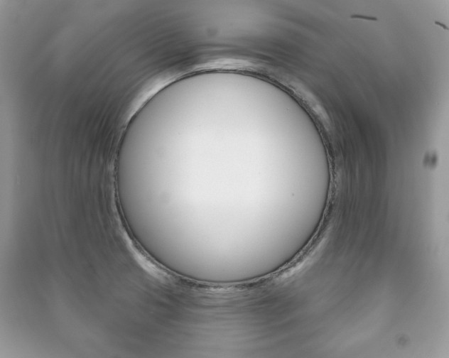 X0000091171425200708091014