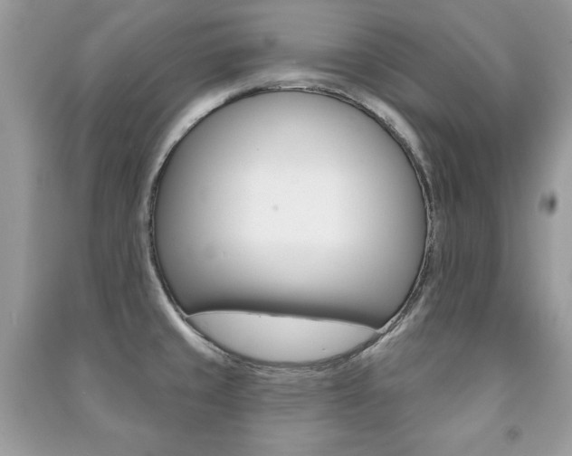 X0000091171429200708091014