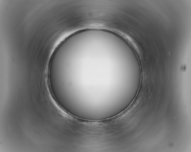 X0000091171432200708091014