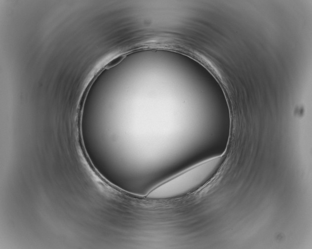 X0000091171434200708091014