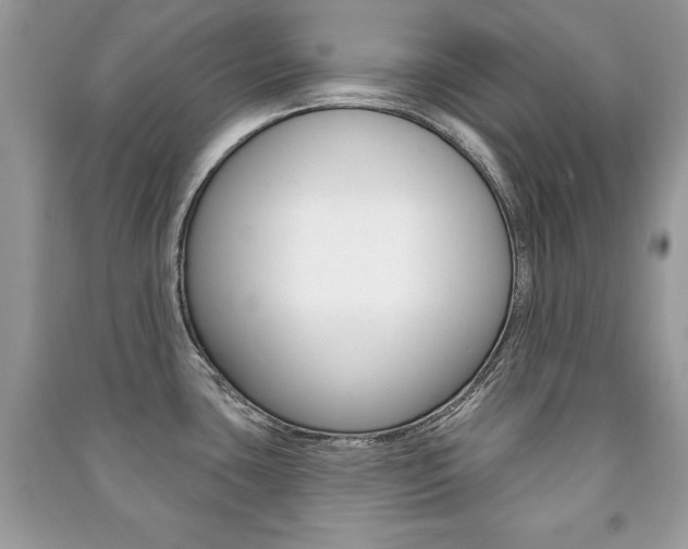 X0000091171435200708091014