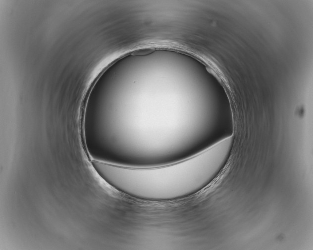 X0000091171438200708091014