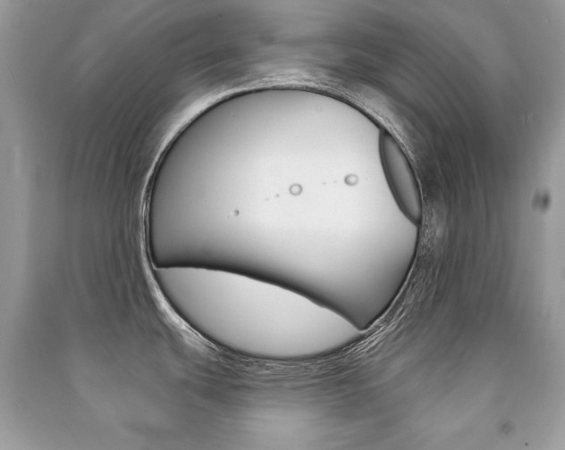 X0000091171439200708091014