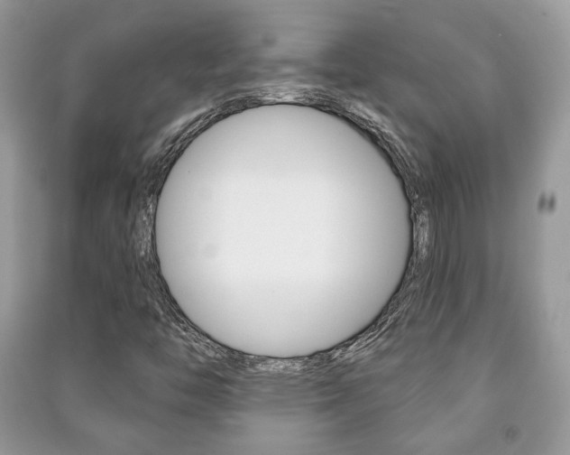 X0000091171446200708091013