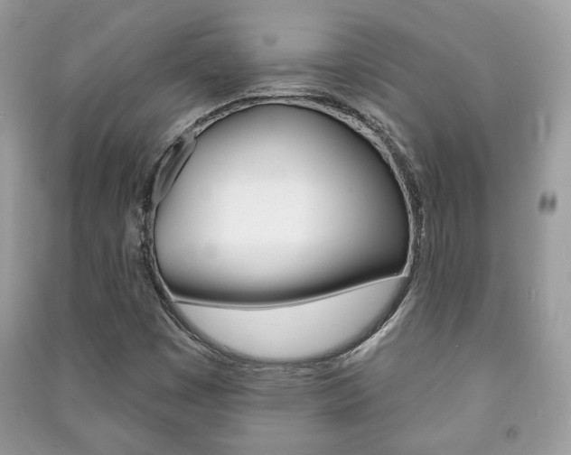 X0000091171449200708091013